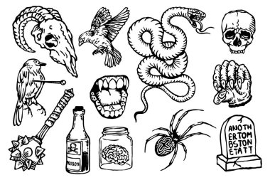 El çizilmiş kafatası, dövme, kafatası, kafatası, örümcek, kafatası ve örümcek.