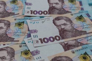 Seçici odaklı 1000 Hryvnia banknotunun fotoğrafı