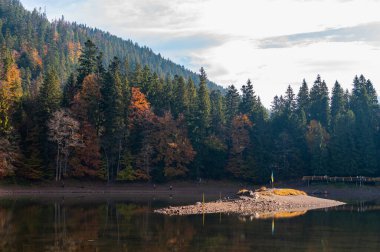 Sonbaharda Karpatlar 'daki Synevyr Gölü manzarası. Synevyr Ulusal Parkı, Ukrayna.