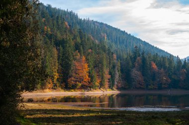 Sonbaharda Karpatlar 'daki Synevyr Gölü manzarası. Synevyr Ulusal Parkı, Ukrayna.