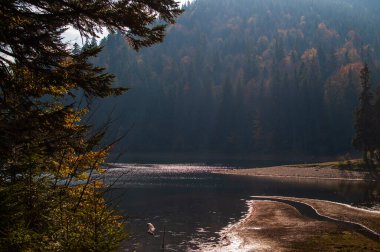 Sonbaharda Karpatlar 'daki Synevyr Gölü manzarası. Synevyr Ulusal Parkı, Ukrayna.