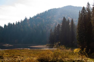 View of Lake Synevyr in the Carpathians in autumn. Synevyr National Park, Ukraine. clipart