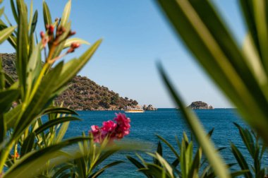 Marmaris 'teki Ege sahilinin resimli görüntüsü. Yelkenli bir tekne, adalar, dağlar ve çiçekler..