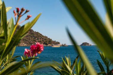 Marmaris 'teki Ege sahilinin resimli görüntüsü. Yelkenli bir tekne, adalar, dağlar ve çiçekler..