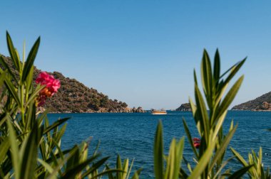 Marmaris 'teki Ege sahilinin resimli görüntüsü. Yelkenli bir tekne, adalar, dağlar ve çiçekler..