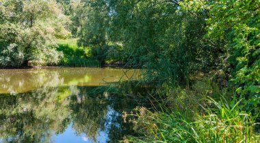 Güneşli bir yaz gününde, yeşil ağaçlarla, sazlıklarla ve sudaki yansımalarla.