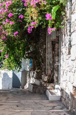 Bougainvillea çiçekleri eski bir taş evin yakınındaki sokakta açar.