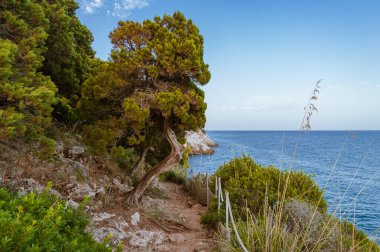 Kayalık sahil ve güzel deniz