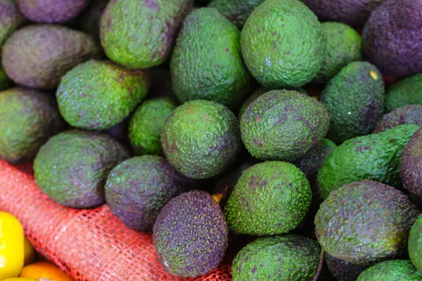 Avocats Verts Frais Mûrs Bio Nouvelle Récolte Sur Marché Fermier — Photo