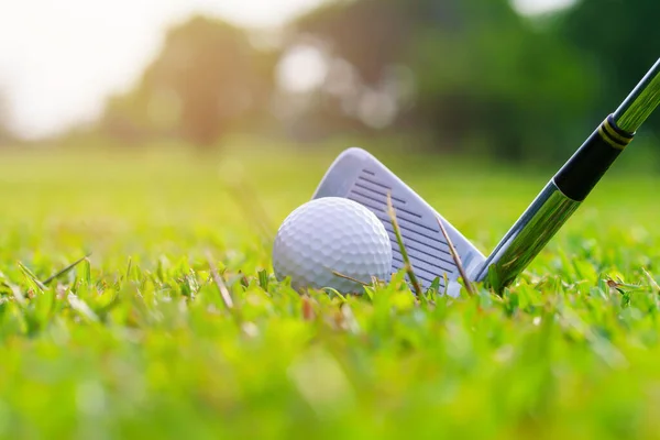 Golflabda Zöld Füvön Készen Áll Hogy Lecsapjanak Golfpályán — Stock Fotó