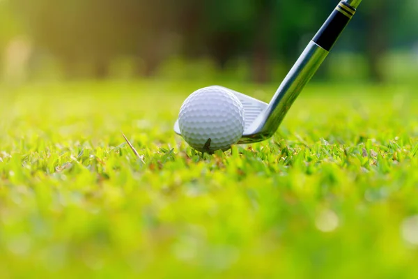 Golfboll Grönt Gräs Redo Att Slås Golfbanan — Stockfoto