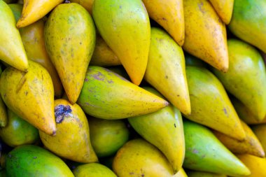 Egg fruit or Canistel on sale sale in fruits market. (pouteria campechiana.)