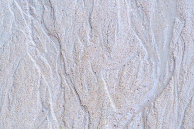 arka plan için sahilde kum tepeleri.