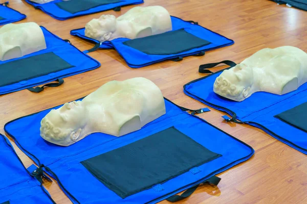 Model Dummy Used Cpr Training Medical Class Hospital — Stock Photo, Image