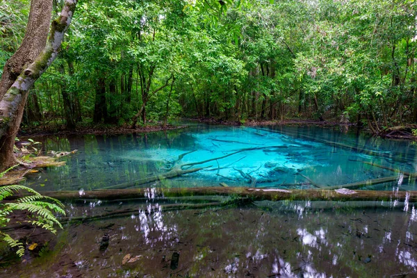 Emerald Pool Krabi Province Thaïlande Incroyable Nature Cristalline Canal Émeraude — Photo