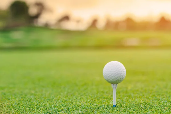 Bola Golfe Tee Pronto Para Ser Disparado Golfcourt — Fotografia de Stock
