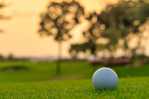 Pallina Golf Tee Pronto Essere Sparato Campo Golf — Foto Stock