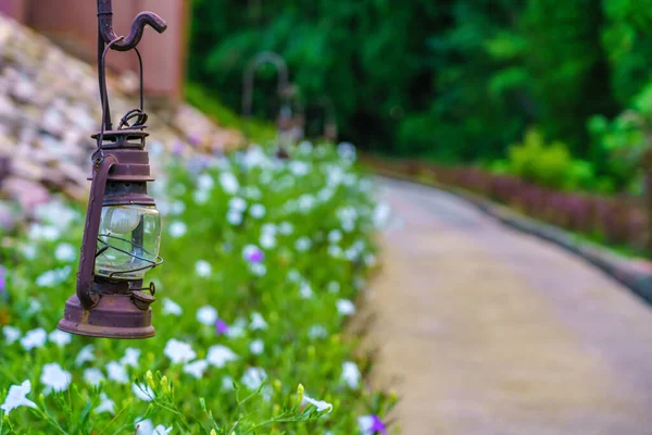 Yeşil Çayır Tarlasıyla Yürüme Yolunda Klasik Lamba — Stok fotoğraf