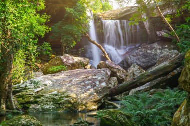 Phu Kradueng Ulusal Parkı, Loei Tayland Şelalesi, yağmur ormanlarındaki güzel şelale manzarası.