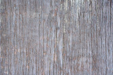 Arkaplan için ahşap tahta duvar dokusu soyut.