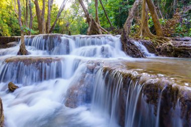Şelale derin yağmur ormanlarında (Huay Mae Kamin Şelalesi Ulusal Parkı, Kanchanaburi Eyaleti, Tayland.)