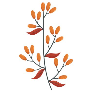 Yaprak illüstrasyonlu sonbahar ormanı turuncu meyvesi.