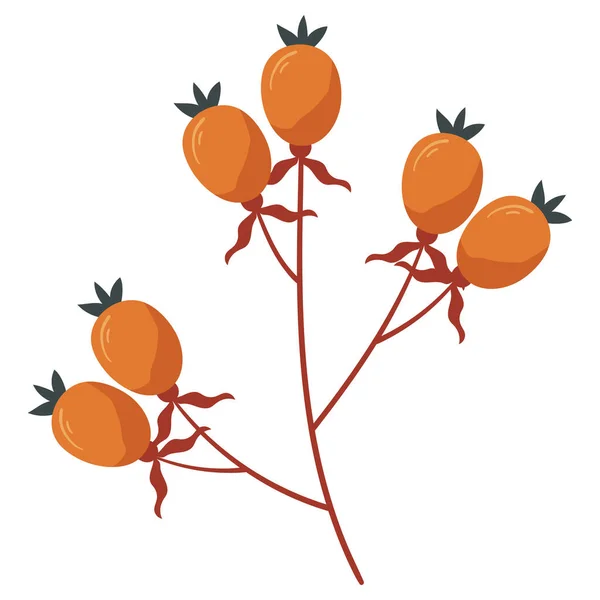 Outono Floresta Rosehip Berry Galho Ilustração —  Vetores de Stock