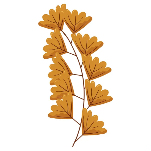 秋の森の葉のイラスト — ストックベクタ