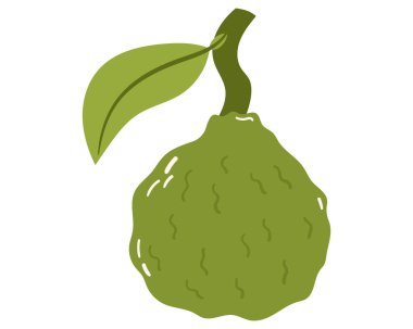 Fruit Bergamot portakalı çizilmiş basit bir el çizimi. Düzenlenebilir değişken rengi