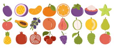 El yapımı Tropikal ve Egzotik Meyve Koleksiyonu Modern Düz Renkli