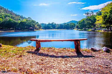 Boş park benchon Gölü Nipissing Güzel rengarenk bir bahar sırasında