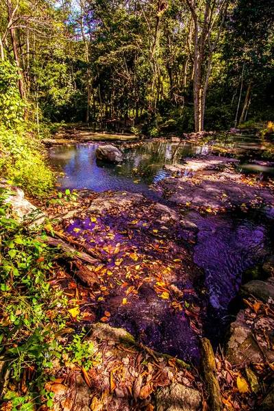 Вид Горную Речку Летом Старая Гора — стоковое фото