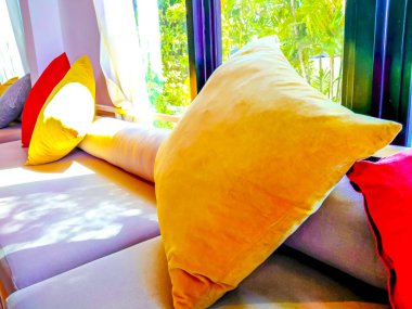 Canlı Konfor: Renkli Yastık Beyaz Kanepede Pencereden Işıkla yıkandı