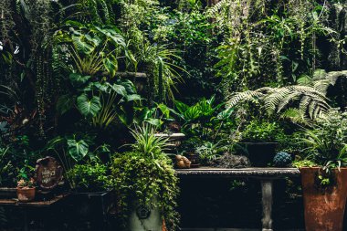 Taştaki Huzur: Bahçe Banklarının Huzurlu Büyüsünü Keşfetmek