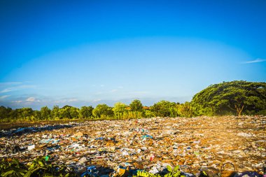 Çevresel Kriz: Plastik Atık Ağaçlar Tarlasını Ezip Geçiyor