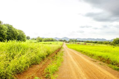 Tayland kırsalındaki Harmonious Oasis Bambu Çiftliği ve Country Road