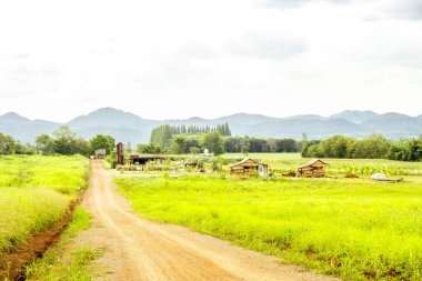 Tayland kırsalındaki Harmonious Oasis Bambu Çiftliği ve Country Road