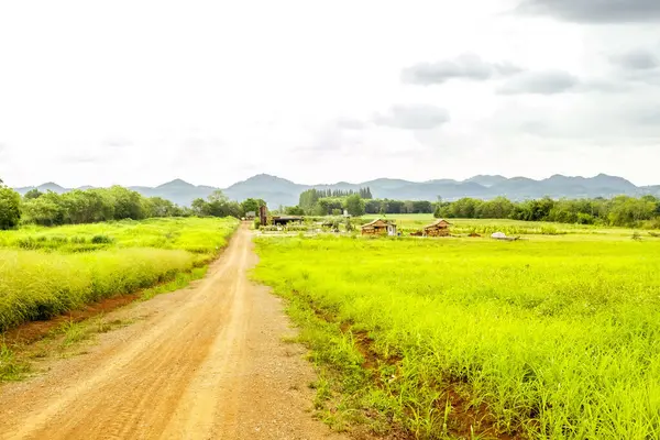 Tayland kırsalındaki Harmonious Oasis Bambu Çiftliği ve Country Road