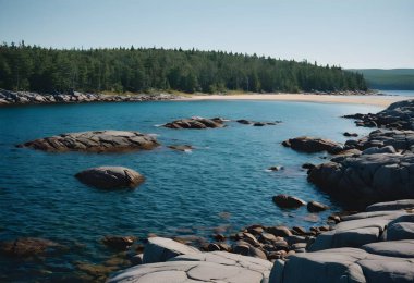 Deniz kenarı sükuneti: Çöl Adası 'nın Kıyı Güzelliğini Kucaklamak