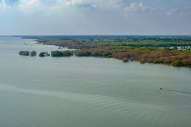 Bereketli mangrov ormanları ve geniş kıyı sulak alanlarını gösteren sakin bir hava manzarası. Görüntü, bu doğal yaşam alanı ve ekosistemin güzelliğini ve ekolojik önemini vurgulayarak, karmaşık su kanallarını ve yeşil bitki örtüsünü vurguluyor.