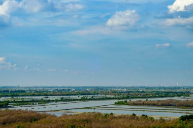 Etrafı sulak alanlar ve su kanallarıyla çevrili geniş bir mangrov ormanının büyüleyici hava manzarası. Sahne, kıyı ekosistemlerinin güzelliğini ve önemini vurguluyor, doğal habitat çeşitliliğini ve sudaki çevrecilerin sükunetini gösteriyor