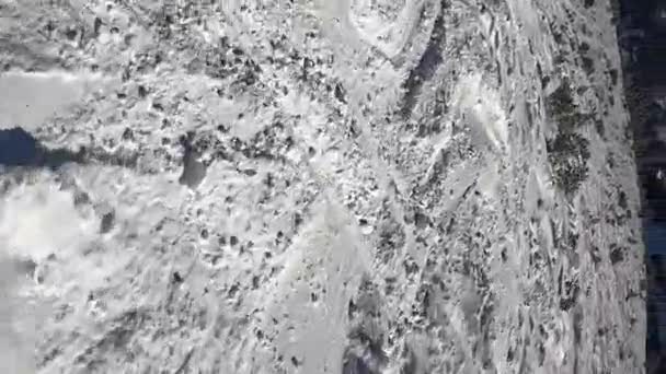 跟踪拍摄的一个男子滑雪板下山 骑雪板的人在树间飞速下山 — 图库视频影像