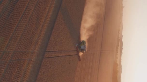 Vídeo Vertical Máquina Harvester Trabalhando Campo Trigo Combine Agricultura Máquina — Vídeo de Stock