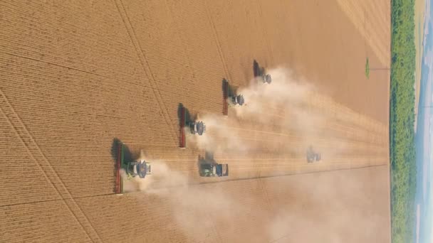 Buğday Tarlasında Çalışan Hasat Makinesinin Dikey Videosu Tarım Makinesini Birleştirip — Stok video