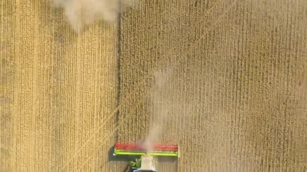 Buğday Tarlasında Çalışan Hasat Makinesinin Yukarıdan Görünüşü Tarım Makinesini Birleştirip — Stok video