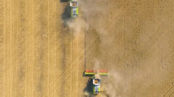 从上往下看小麦田里的收获机 组合农业机械收获金熟小麦田 — 图库视频影像