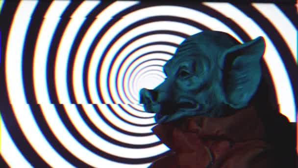 Przerażający Człowiek Masce Świni Przeciwko Monochromatycznej Obrotowej Spirali Bez Szwu — Wideo stockowe