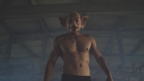 Fitter Muskulöser Mann Mit Furchterregender Schweinemaske Vor Industriellem Hintergrund Hochwertiges — Stockvideo