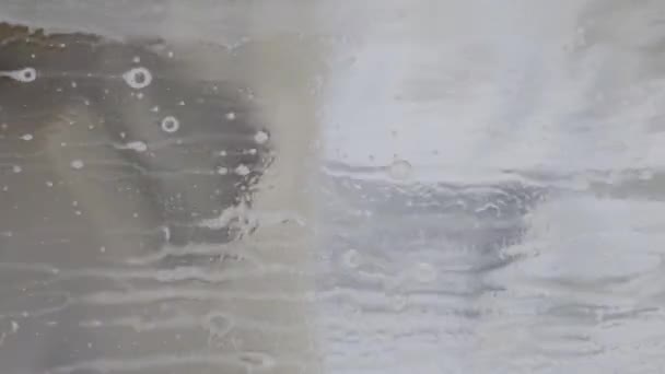 Vidéo Verticale Homme Laver Marqueur Sharpie Fenêtre Avec Spray Nettoyant — Video