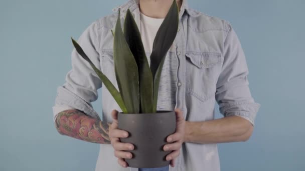 Een Man Die Een Pot Met Planten Dicht Bij Camera — Stockvideo